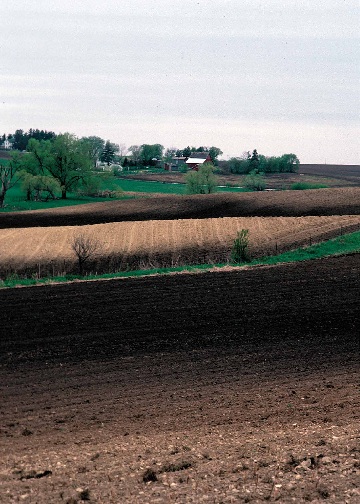 erosion slope.jpg